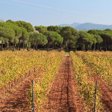 Le gîte des cinq cépages Fréjus Exterior foto